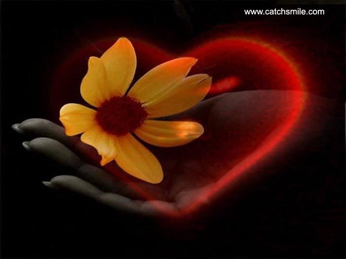 <a href="/solmazbulu/">solmaz bulu</a> <a href="/weyoyeyo/">𝔄𝔲𝔯𝔢𝔩𝔦𝔬</a> <a href="/schutina_galina/">Галина</a> <a href="/charlene2805/">leggeri sandrine</a> <a href="/monicasloves/">Monica Cates</a> <a href="/Glory_66/">Slavica Todorovic</a> <a href="/TudorRebecca/">Hrh Princess Rebecca</a>