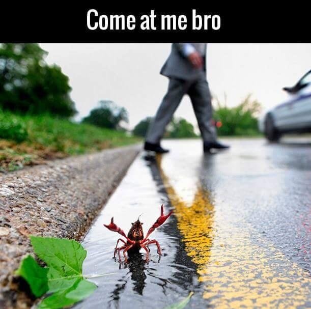 Jetgranger's tweet image. 