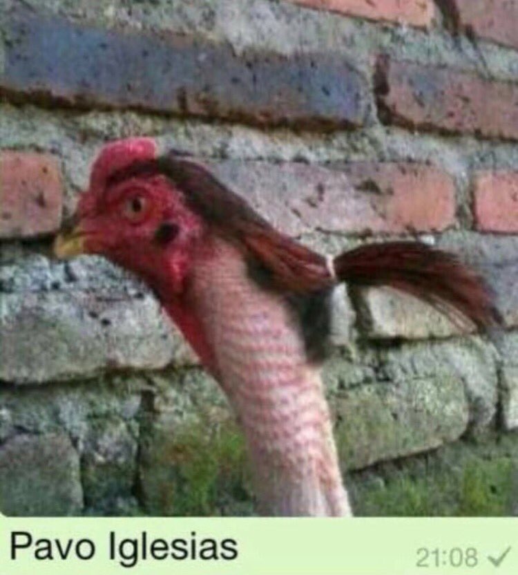 Pablo Iglesias 🔻{R} tweet media