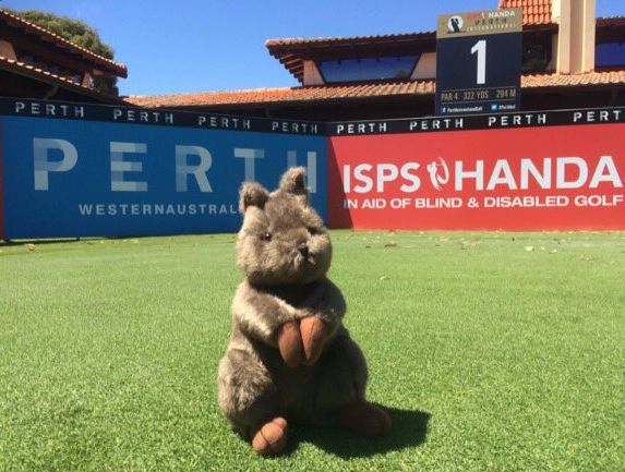 asiantourgolf's tweet photo. Monday rewind: 5 things we learned at the @PerthIntl #PerthIntl Read on https://t.co/DaPcyETlAc https://t.co/OYFqHaODKm