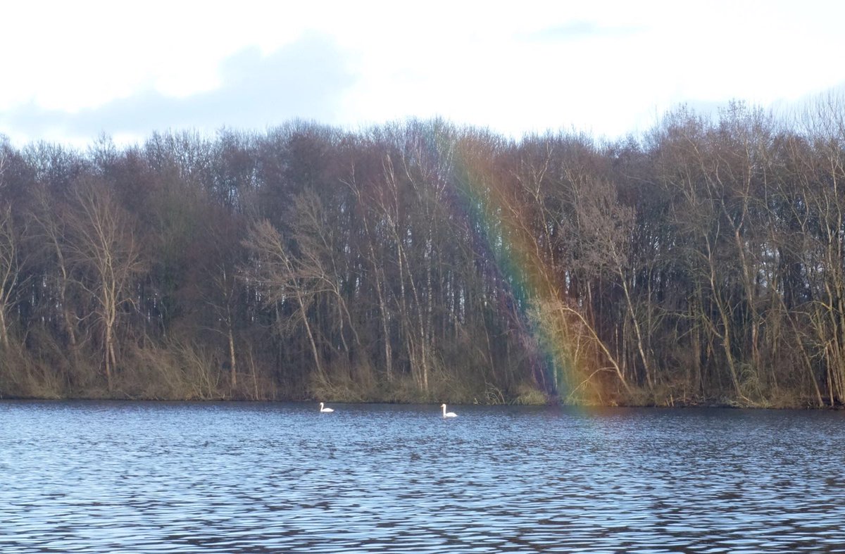 BaitsLive's tweet photo. What a lovely morning :) . https://t.co/OqYo4fAUIt