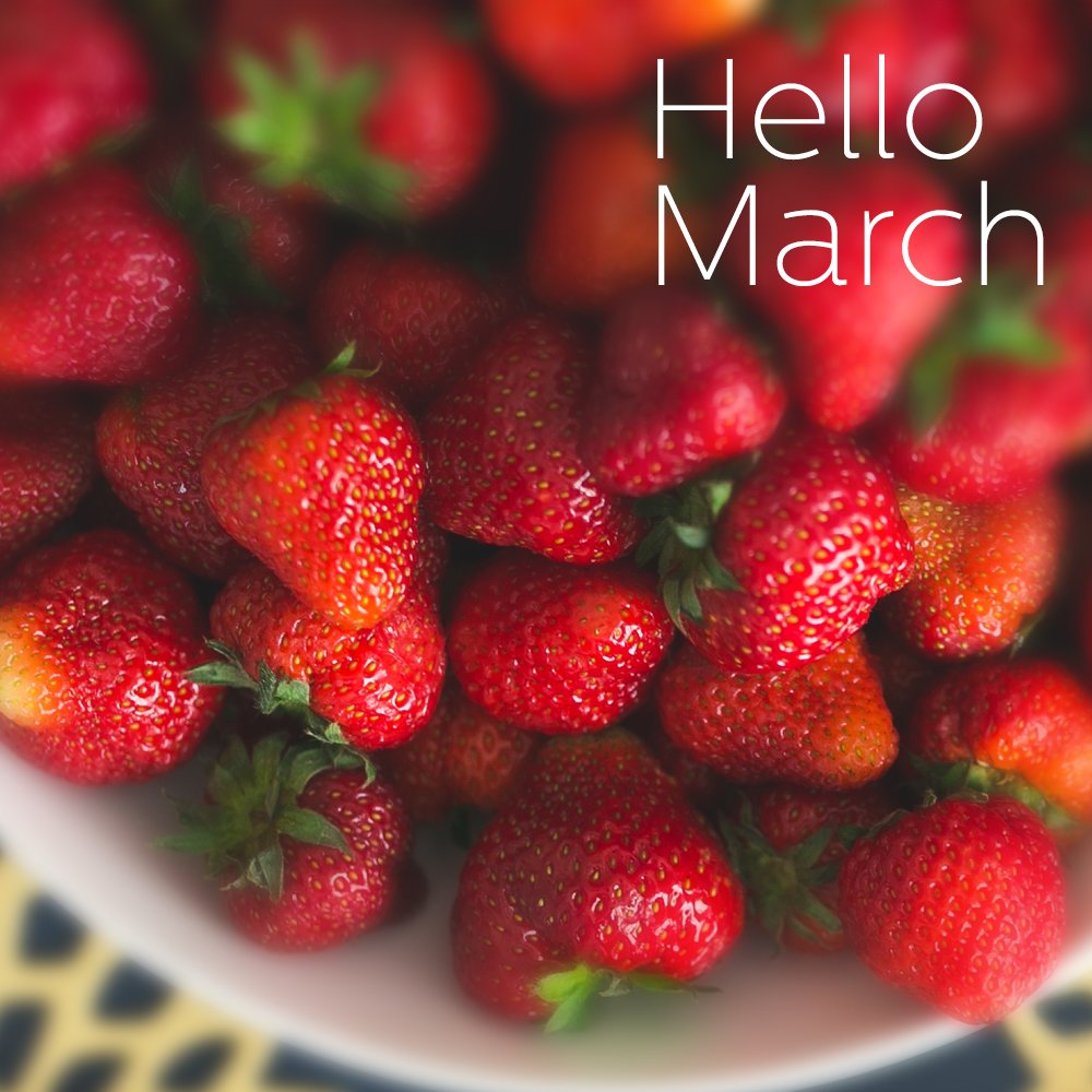 ModernHostel's tweet photo. #March #travel #love #hostel #belgrade https://t.co/LC9TnrLNpg