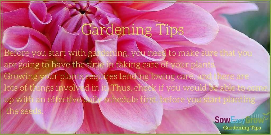 SowEasyGrow's tweet photo. SowEasyGrow's Gardening Tips. https://t.co/VfLxId87If