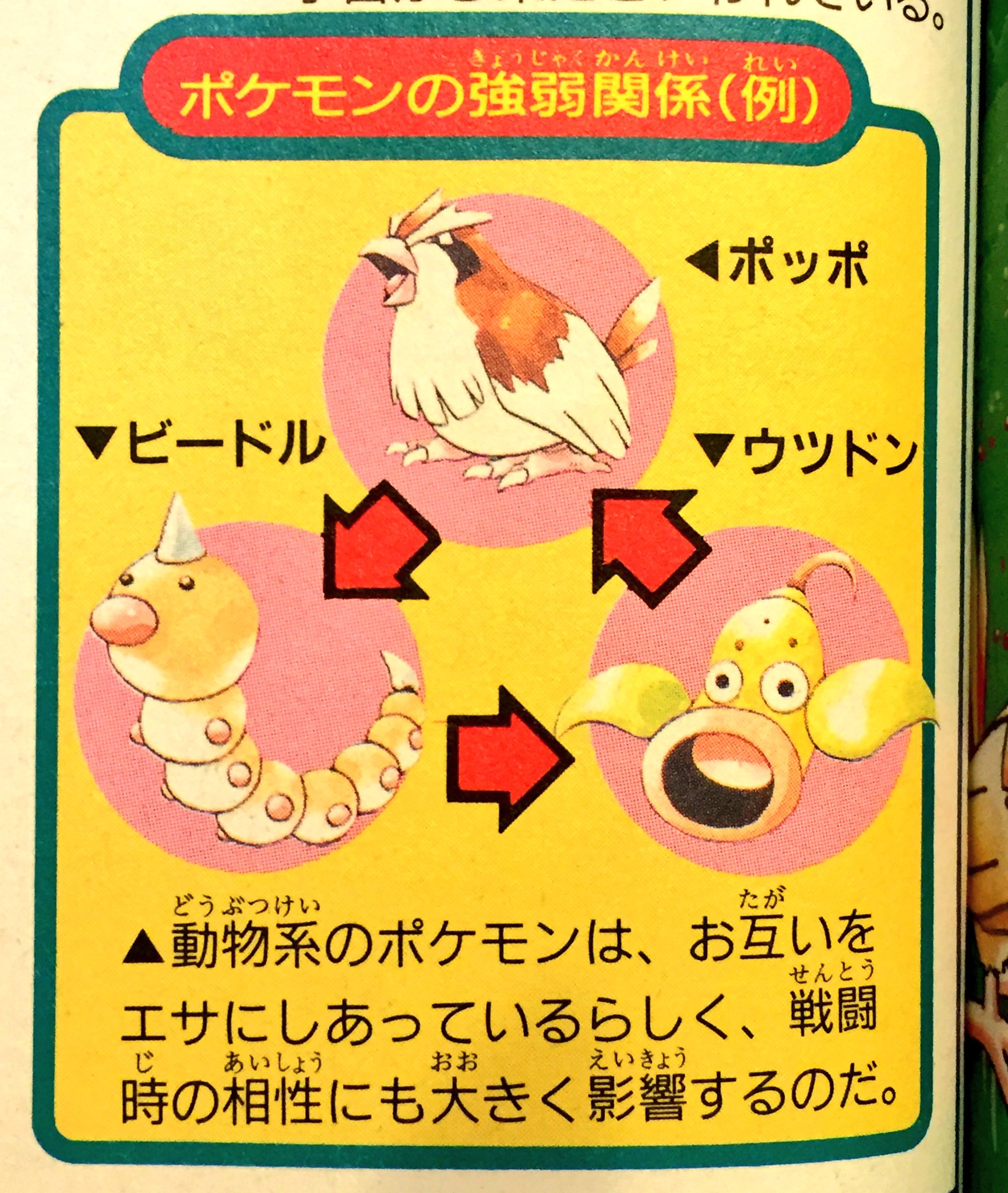 ヒノッチ お互いをエサにしあっている ウツドンのエサってポッポだったんだ T Co Kbhochwhgb Twitter