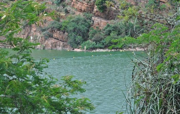 TimesLIVE's tweet photo. 'South Africa's biggest water pollution culprit is Government' https://t.co/AkJmnE1K5d https://t.co/67Vc3nPhsL