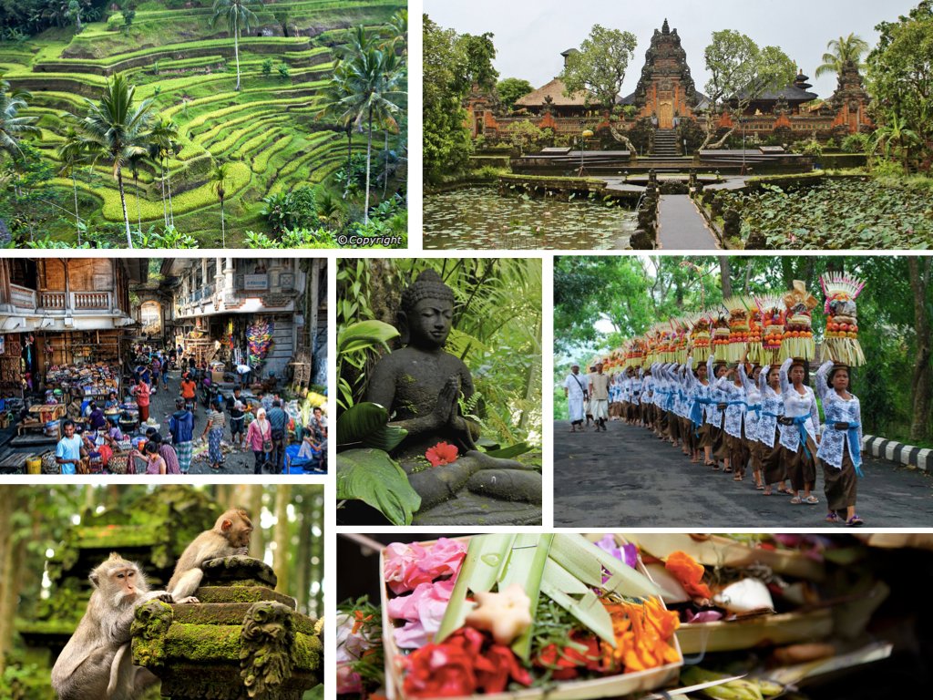 I miss #Ubud, my favorite place in the whole wide world! if you've already been there, what did you prefer? #Bali