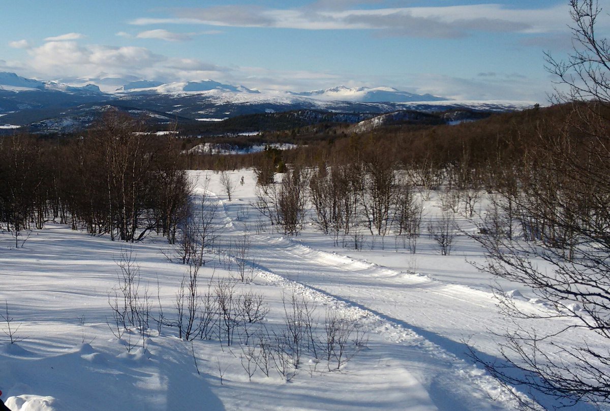 MartinCGoS's tweet photo. Crisp, cold, clear and sunny = Norwegian magic on #xcskis @dalseter @visitnorway https://t.co/XRlOIlHFJ4