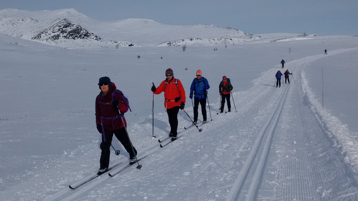 Crisp, cold, clear and sunny = Norwegian magic on #xcskis <a href="/dalseter/">grethe gillebo</a> <a href="/visitnorway/">Visit Norway</a>