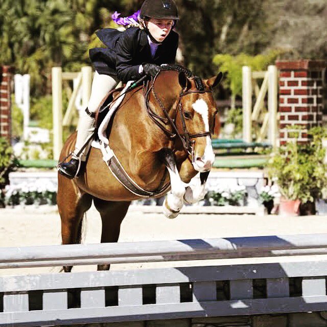 teamwatersedge's tweet image. Loyalty and Marlee Altizer in the Medium Pony Hunter! Look at those knees😍