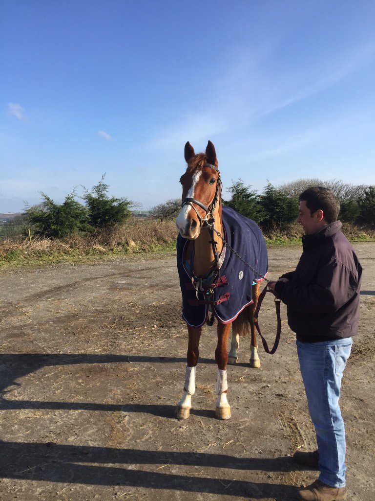 charclarke2's tweet photo. #eventseasonprep #EquineHour #indoorjumping https://t.co/f0ycM9iWLG