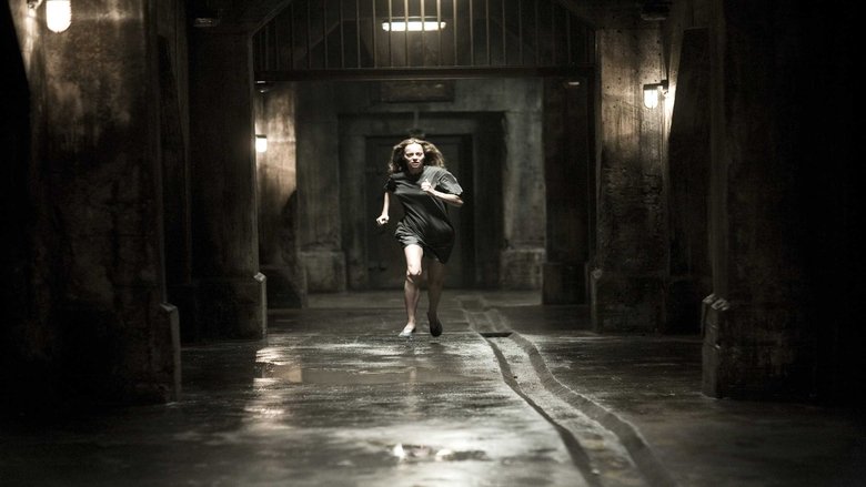 호스텔 2 Hostel: Part II (2007) 친구들과 여행을 왔다가 납치된 피해자와 돈으로 사람을 사서 고문하고 죽이는 사람들에 관한 영화. 고어 주의. 얕은...