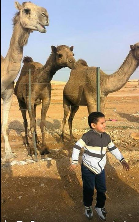 misroro9032's tweet photo. مجودي حياتي https://t.co/fSJ6Fa75QZ