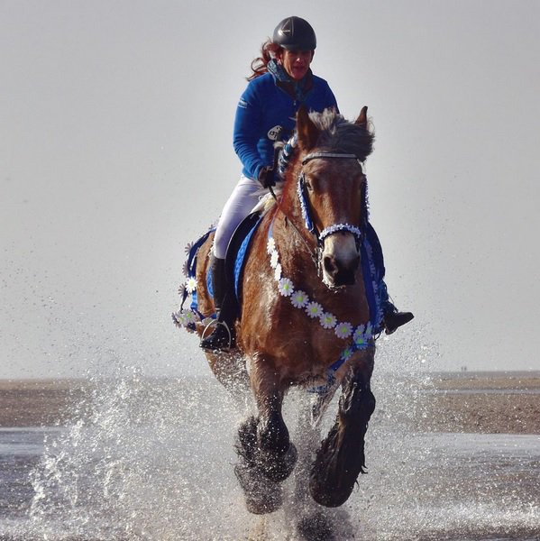 pzcredactie's tweet photo. "Afgelopen zaterdag was het genieten van de #strao in Noordwelle" #pzcfoto van Tim Adriaanse https://t.co/0joyhbWr2I https://t.co/LaZZomxHGA