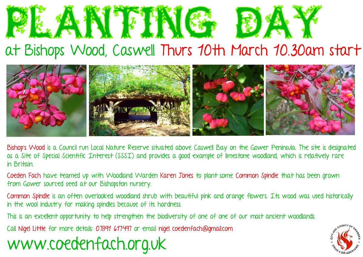 CoedenFachTrees's tweet photo. We've got a planting day at Bishops Wood on Thursday 10th March. We'd love you to come and join us! https://t.co/86wxVHSHyW