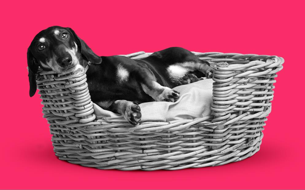 Steph_Synaptic's tweet image. Welcome @Vitality_UK&apos;s 2 New Whole of Life Products &amp;amp; Business Protection with #VitalityOptimiser on to #Webline