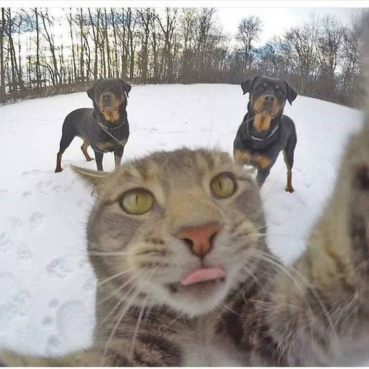 SH_A_DE's tweet photo. احلي #سيلفي https://t.co/fJ8MLGp5F5