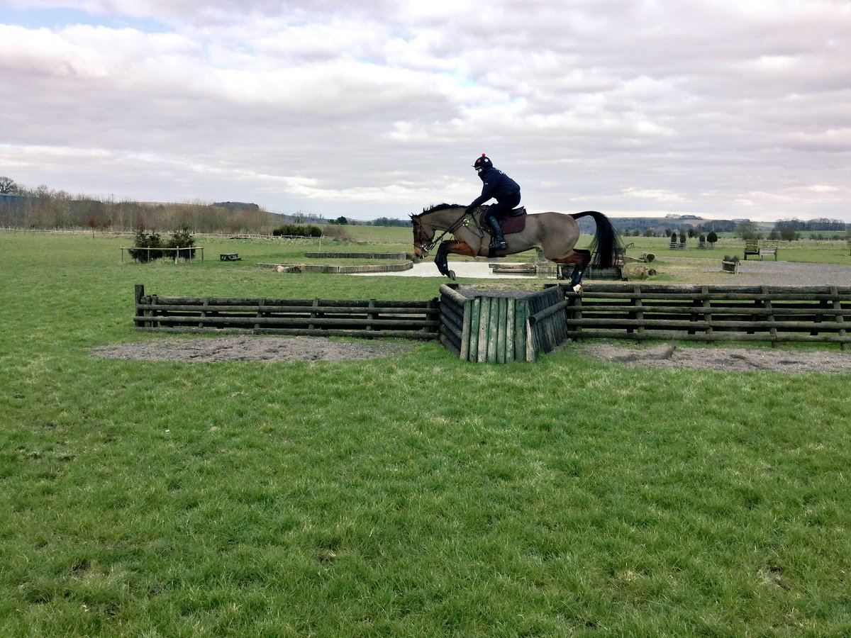 chiefchemopony's tweet photo. This mare doesn't need wings, her tail seems to do that job pretty well... πππ΄ #supermave first time on grass! https://t.co/201PSCnb68