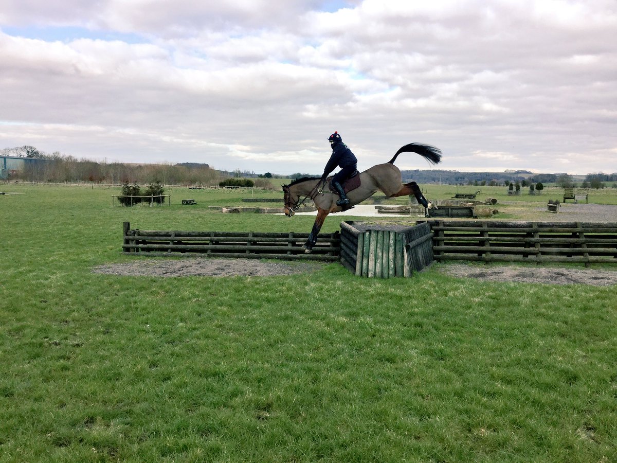 chiefchemopony's tweet photo. This mare doesn't need wings, her tail seems to do that job pretty well... πππ΄ #supermave first time on grass! https://t.co/201PSCnb68
