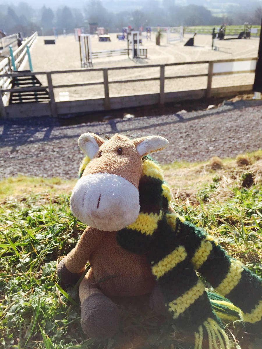 devoucouxWESTUK's tweet photo. #Devoucouxberry was at @BeaconsE yesterday enjoying the sun in front of training eventing! @chiefchemopony https://t.co/PDve3Fv3GS