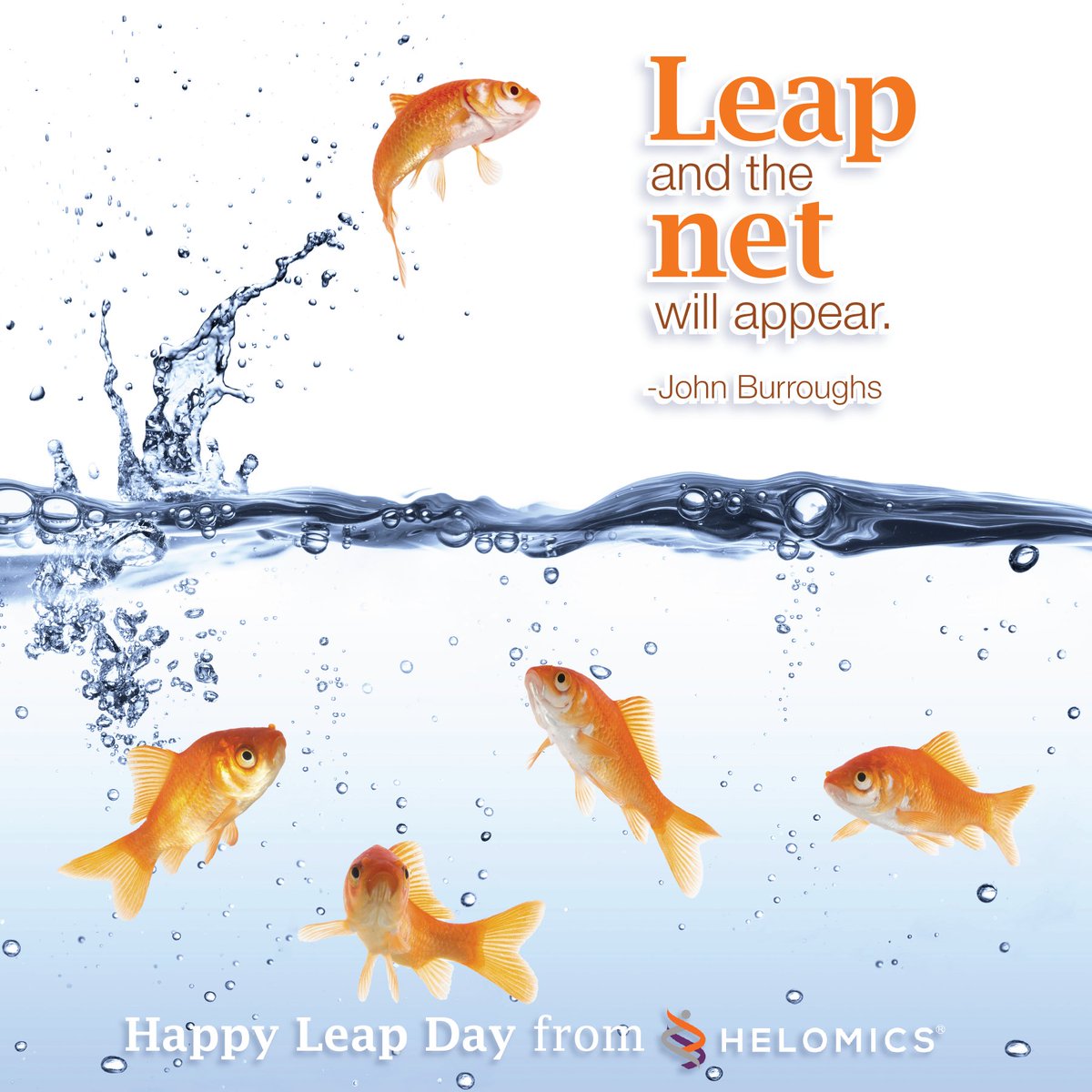 Helomics_'s tweet image. Happy Leap Day everybody! #helomics #motivation #cancerispersonal #LeapDay #LeapYear