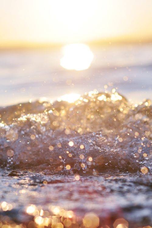 BionsenBeauty's tweet photo. How are you going to seize the day? #MondayMotivation #feelfree https://t.co/bNv99rZG1E