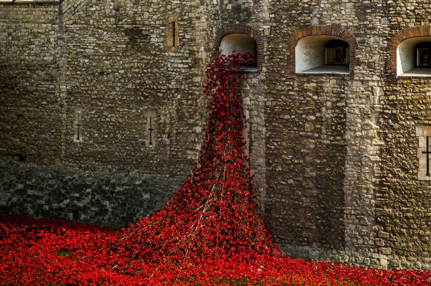 Wrexham bids to host the iconic poppies in 2017 now submitted.  Fingers crossed. <a href="/wrexham/">Wrexham.com</a>
