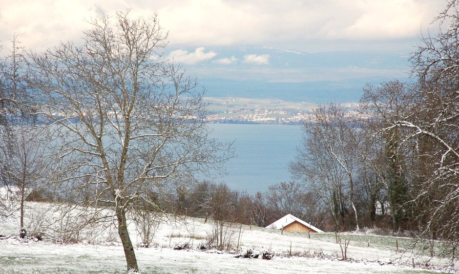 Nos bonnes adresses en Haute-Savoie : sur le blog 
7h09.fr/blog/haute-sav…
<a href="/SavoieMontBlanc/">Savoie Mont Blanc</a> <a href="/Morzine/">Morzine</a> <a href="/TourismeThonon/">Tourisme Thonon</a>