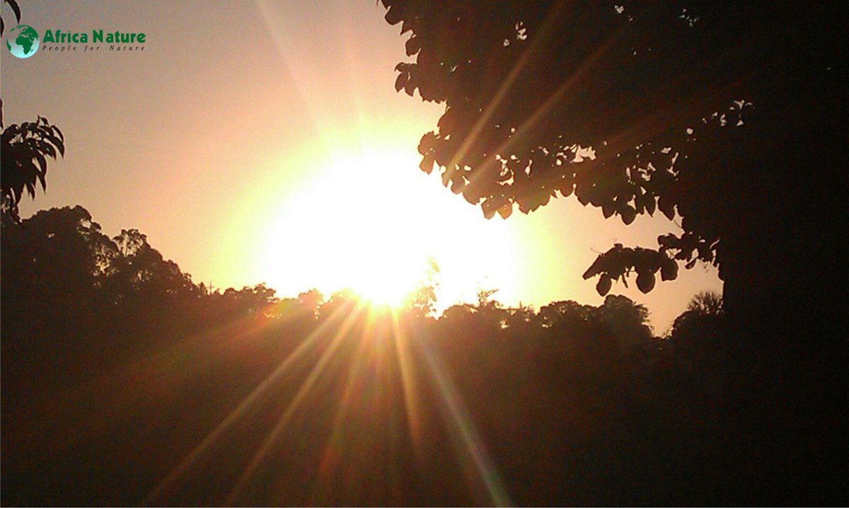 The oak sleeps in the acorn; the bird waits in the egg; and in the highest vision of the soul a waking angel stirs.