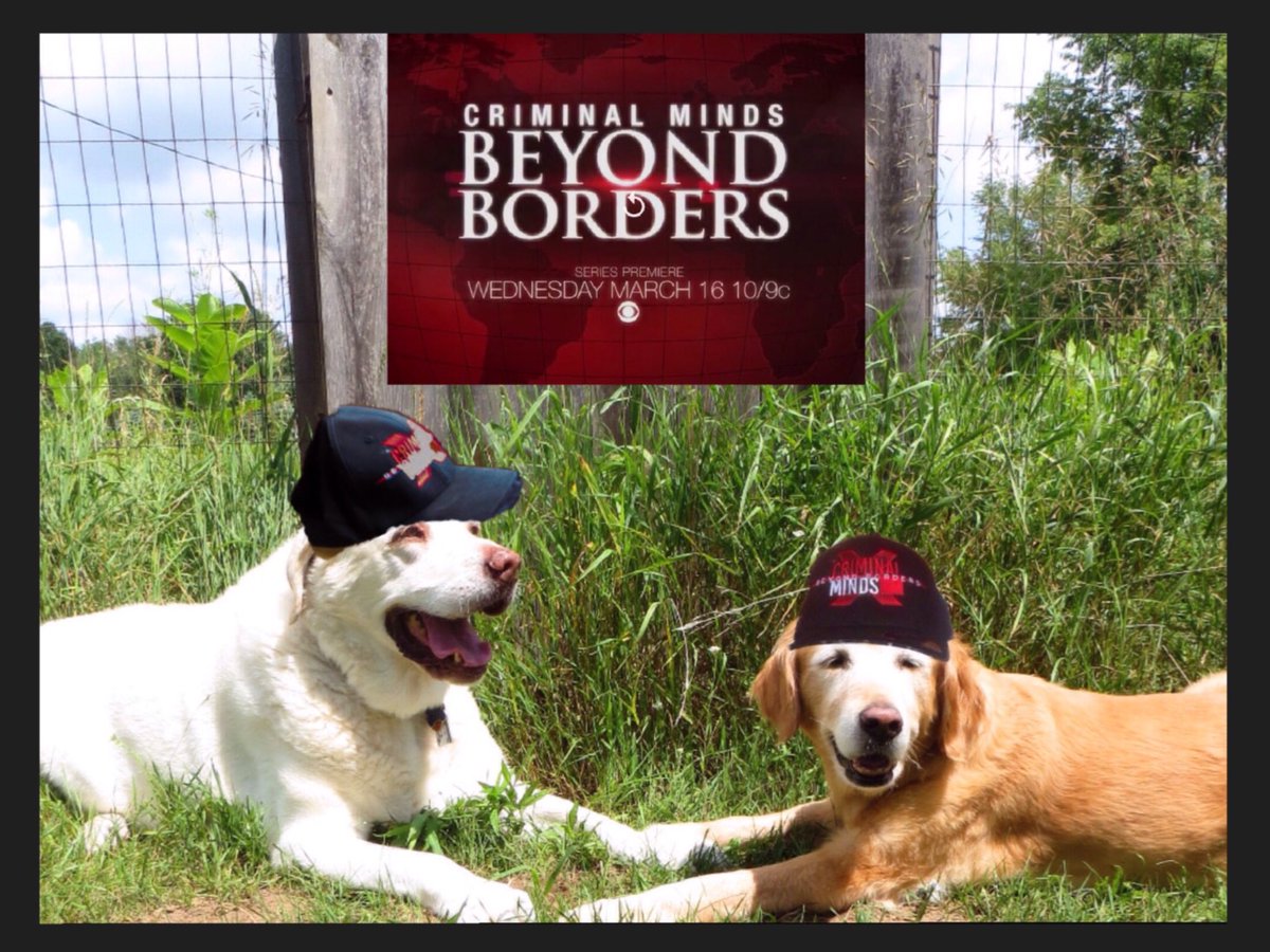philandchris's tweet photo. Major Murphy &amp; Princess Mango are two very excited K-9s. Criminal Minds Beyond Borders CBS March 16th
@danielhenney https://t.co/ynlbPQ4i0W