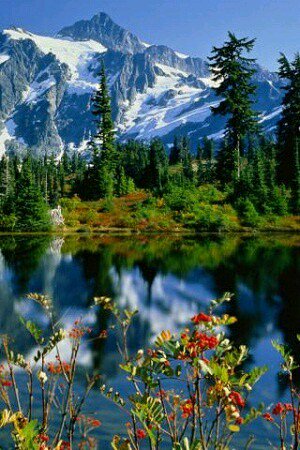 @syedazhar30 Good morning dear! Have a great Monday...🗻🏂🗻🌲🌸🍃