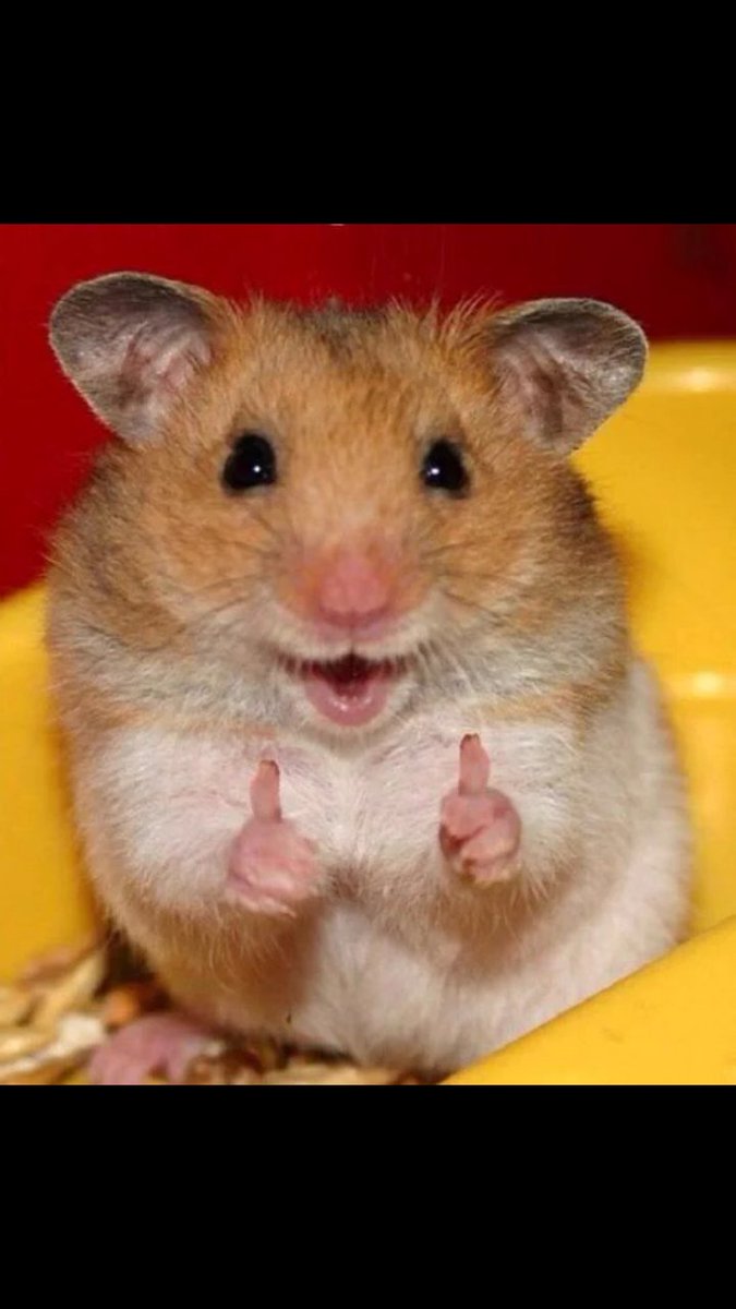 FloweyLittle's tweet image. 