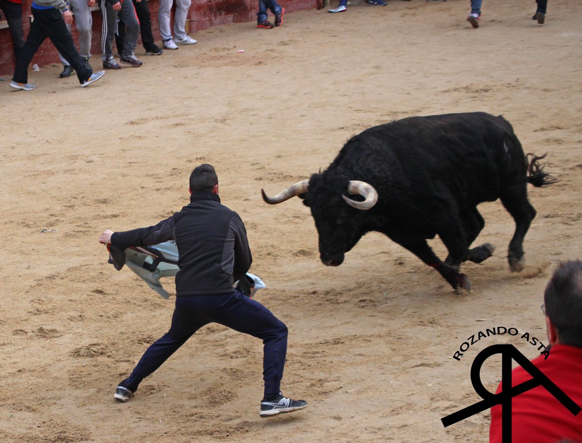 Rozandoasta's tweet photo. Fotografías día 9 de Febrero con el toro del aguardiente en Ciudad Rodrigo (SA).
https://t.co/S113hhIclE https://t.co/nYtxciAPVs