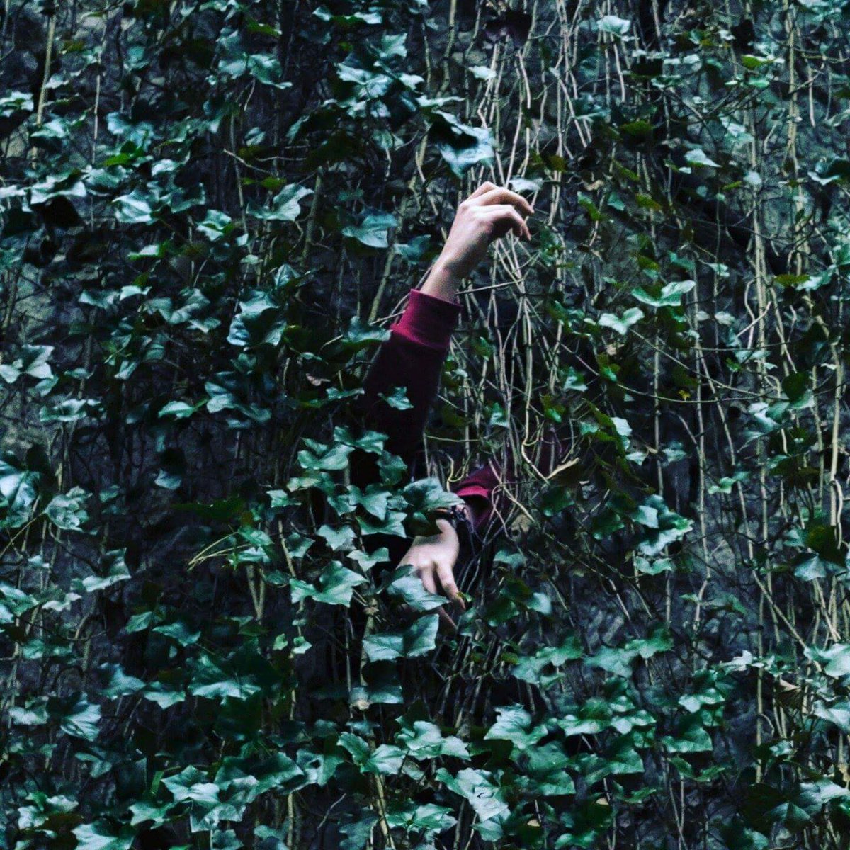 If anyone requires any photography/graphic work contact <a href="/danielpahlen/">Danielpahlen</a> / aka Dandrew Photography, very talented guy