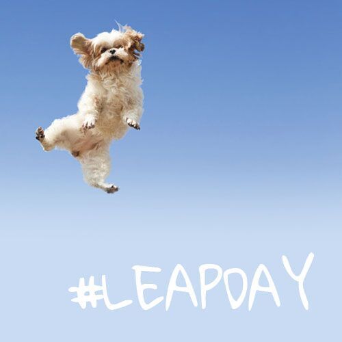 Happy Leap Day! We hope you enjoy your extra 24 hours! #LeapDay