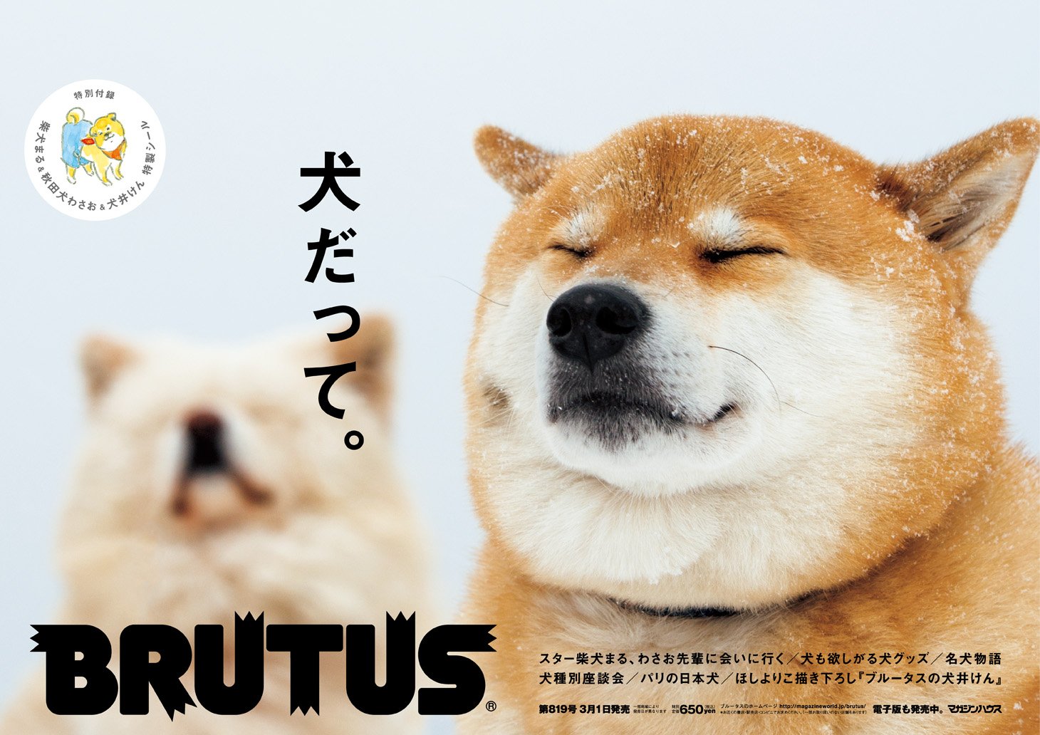 تويتر Brutus على تويتر 犬だって 発売中 糸井重里さんが愛犬ブイヨンとの生活を経て気がついたこと 犬 っていうものの正体は 犬という形をした愛 なんです 犬と人間の関係って何だろう という問いへの真理かもしれません 特集 犬だって 発売中