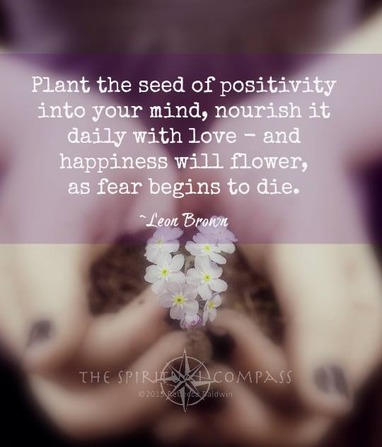 hellomaryfran's tweet image. Plant the seed of positivity into your mind, nourish it daily with love - &amp;amp; happiness will flower ...