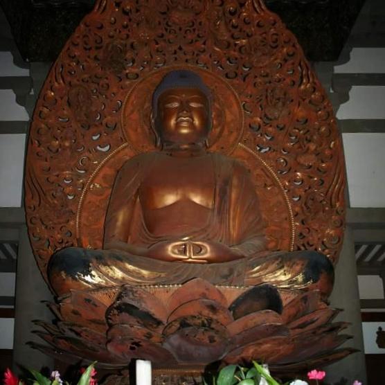 TCBodyShop's tweet image. Giving up my offerings to the great #buddah Learn to live #simply #temple #meditate #zen #picoftheday #monday #peace