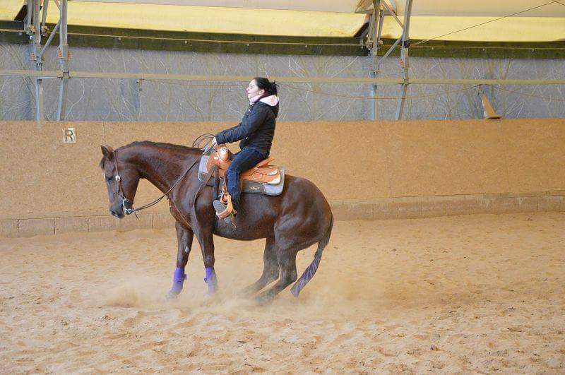 srayes75's tweet photo. #training #reining #slidingstop #quarterhorse https://t.co/ARcP1AWdQZ