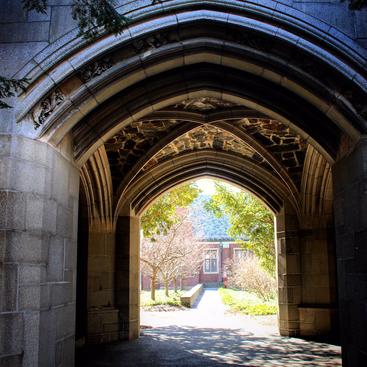 Wellesley College tweet media