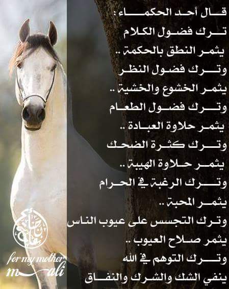 Jana_Dich's tweet photo. https://t.co/IcxT3Wru4q