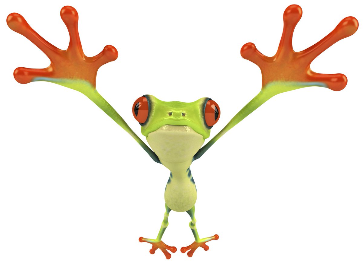 wallfrog's tweet photo. Happy Leap Year #wallfrog #webdesign #marketing https://t.co/e4LoXprGnb