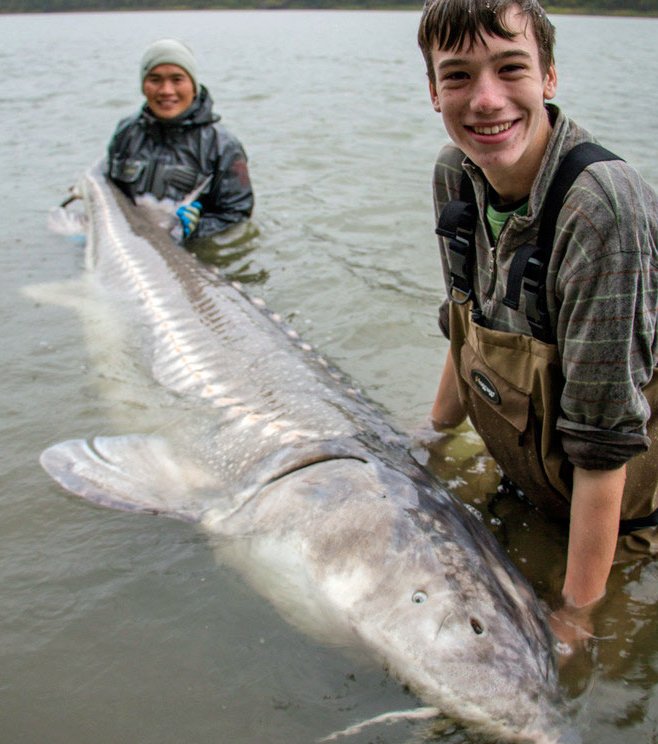 tourismchwk's tweet photo. #Chilliwack is a world-class #SportFishing destination that presents an opportunity for... https://t.co/mqRqtrpKmc https://t.co/FBkH4wrIV4