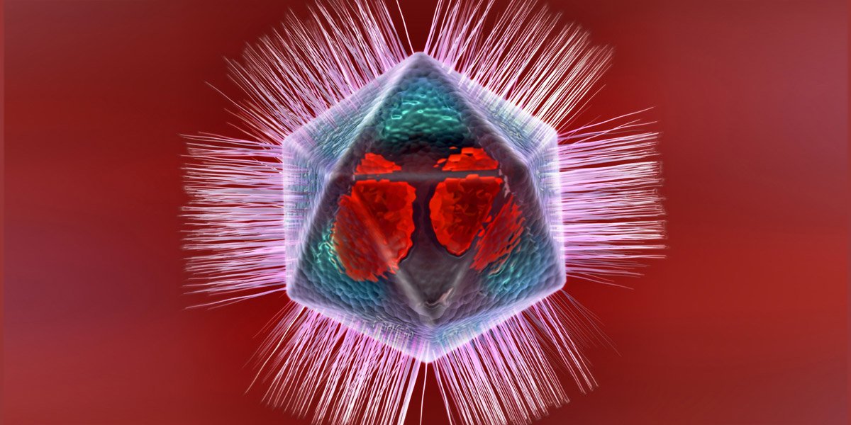 Nature's tweet photo. #CRISPR-like 'immune' system discovered in giant virus https://t.co/4EHADBW6in https://t.co/WTYlexRZ6g