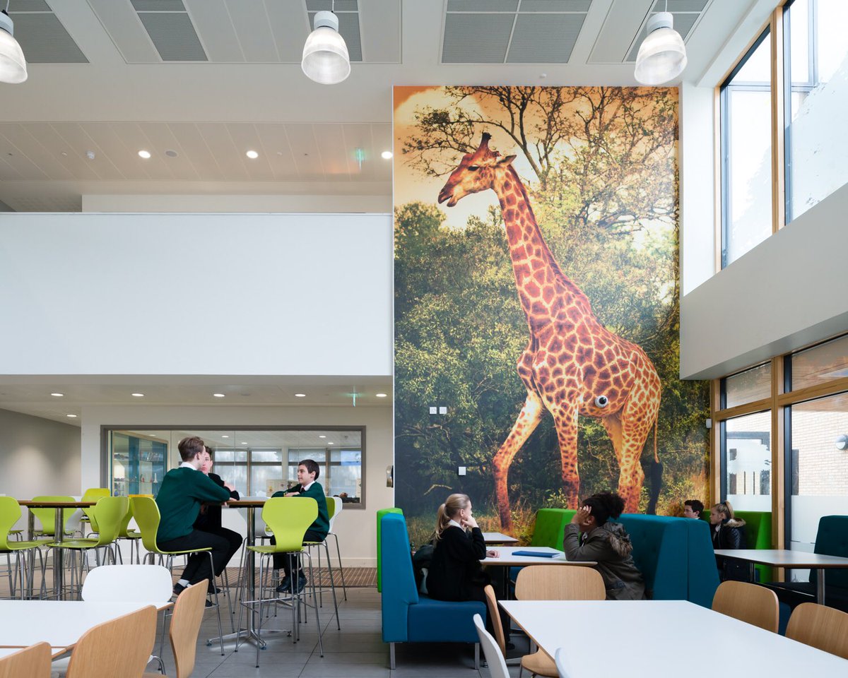 webb_phil's tweet photo. Teaser stills from great new @clickclickjim film at Park Community School Havant @ParkSchSocial @HCC_Architects https://t.co/qG1kcmPJv0