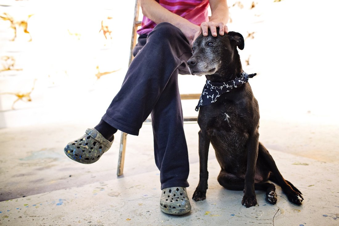 HandmadePet's tweet photo. Alexis Rockman + dog named Padme photographed by @eardog| lovely! #MrsSizzle @studio94bowery https://t.co/ObN1DAIc2X https://t.co/itG5FGsL3F