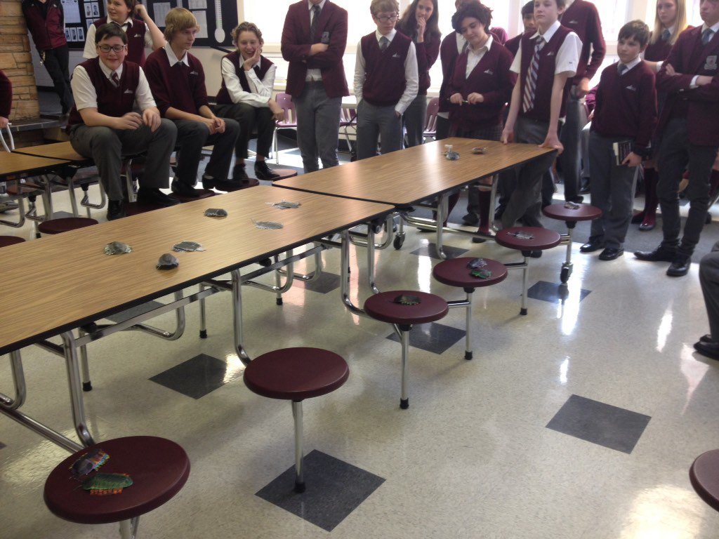 beckyjcarr's tweet photo. Natural selection deciding which trilobites survive! #TrilobiteSurvivor @rundleacademy @adams_kellie @ms_irick https://t.co/PtOCEyYKz8