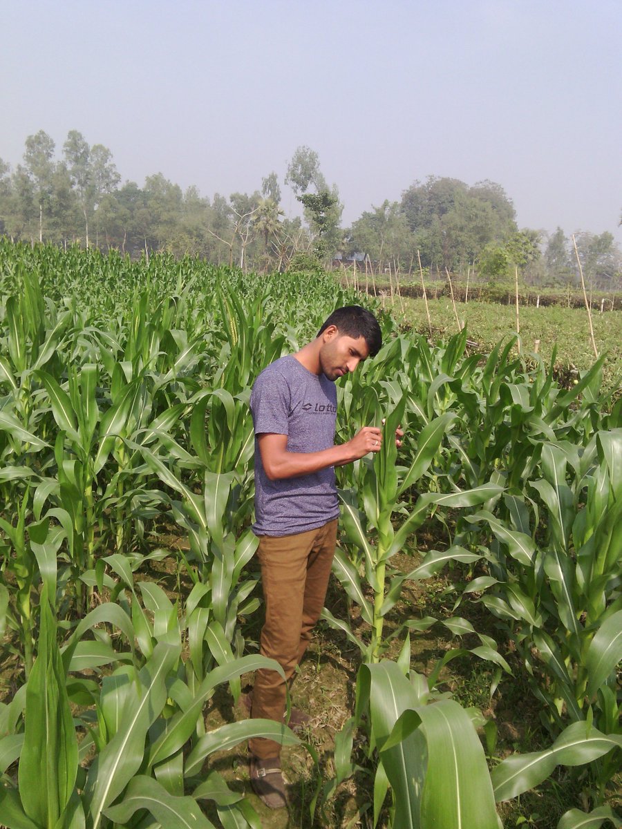 Suzon Xperia tweet media