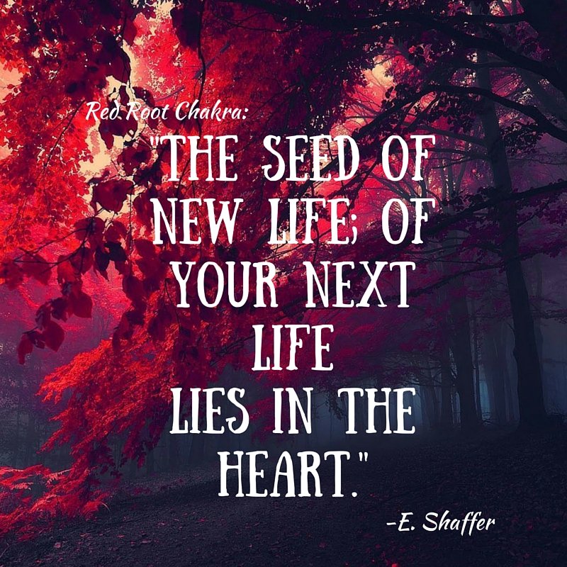 TheChakYa's tweet image. On this Monday: Find your inner compass. Your place in this world. #redchakra #roots #monday #recharge #chakyalife