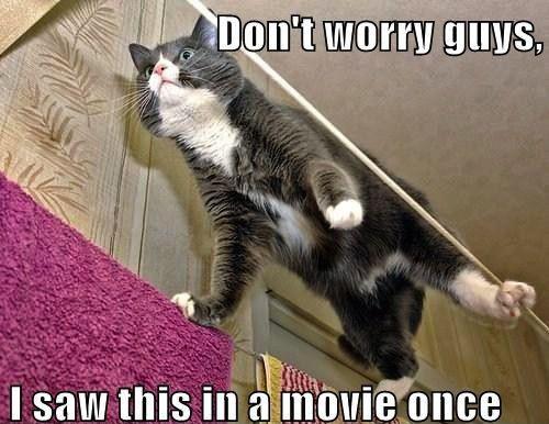 nutnaive's tweet image. 