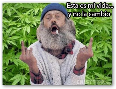 CbdCanna's tweet photo. Buenas tardes! @CbdCanna #weed #weederman #marihuana #cbd #thc
https://t.co/peDdcxAytz https://t.co/RE2dxevdQY